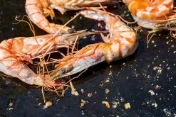 OFYR Kookboek -Buitensporten Verkoopwinkel 800 1200 cb no1 nl fr 3