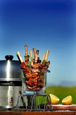 Cobb Pro Premier Air Houtskoolbarbecue - Grijs -Buitensporten Verkoopwinkel cobb premier 3